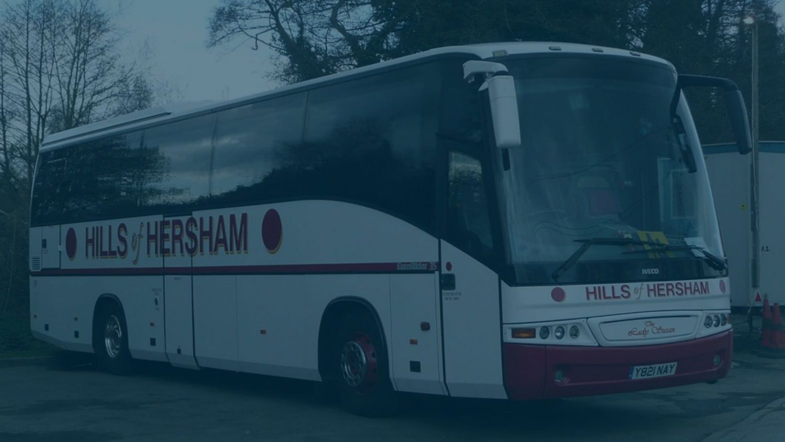 iveco white bus in parking with trees