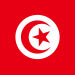 Bandera de Turquía web Bcar